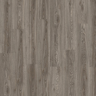 BLACKJACK OAK