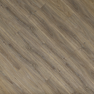 Дуб европейский