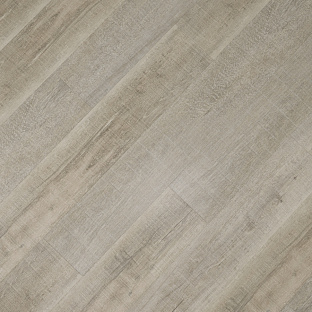 Дуб платиновый