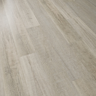 Дуб платиновый