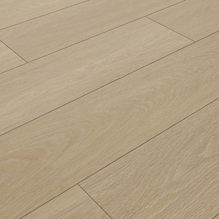 Дуб Кардамон