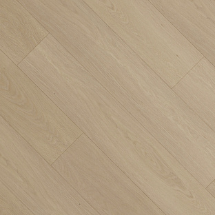 Дуб Кардамон