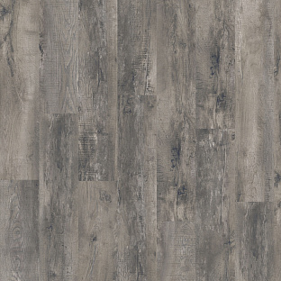 Barn Oak