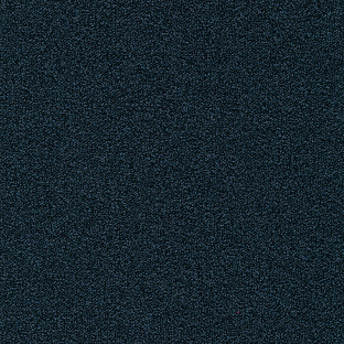 Перпетуал 989